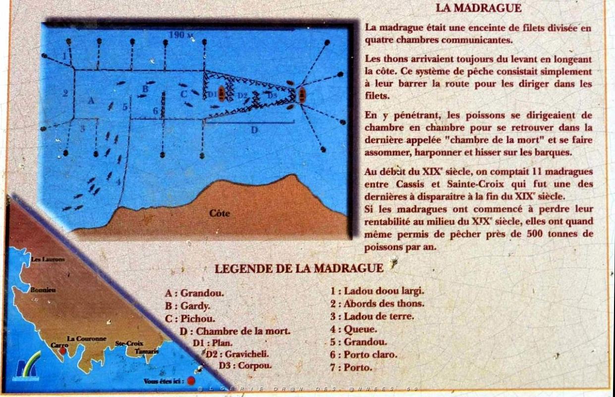 Carro  14.JPG